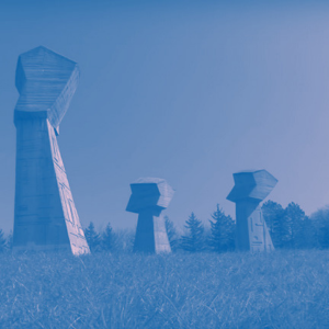 javne rasprave palilula