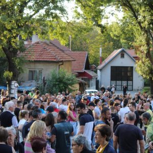 protest Delijski vis