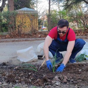 Travnjaci na Bulevaru kao njive