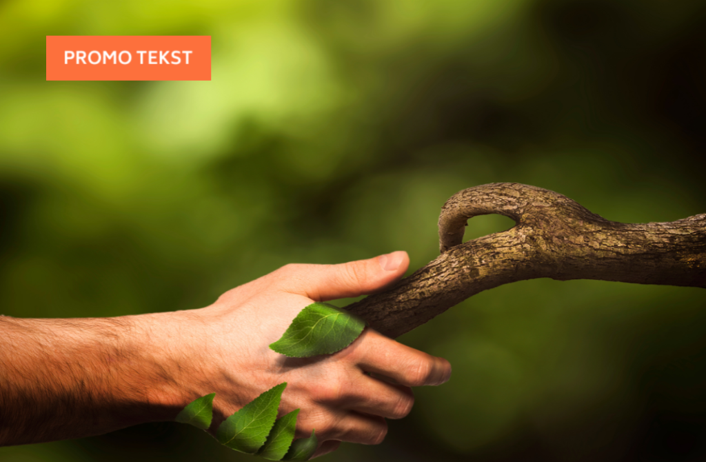 Foto: Canva/Milan Virijevic