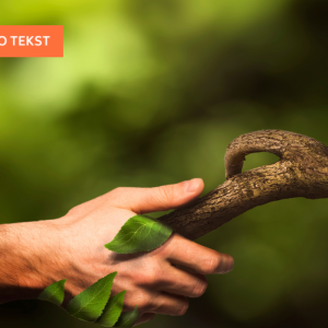 Foto: Canva/Milan Virijevic